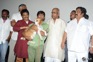 Tommy Movie Audio Launch